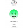 CHLOROPHYLLE