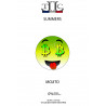 SUMMERS MOJITO
